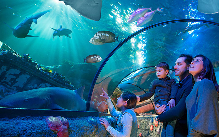 SEA LIFE